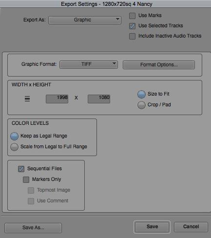 Choose Graphic as the Export Type
