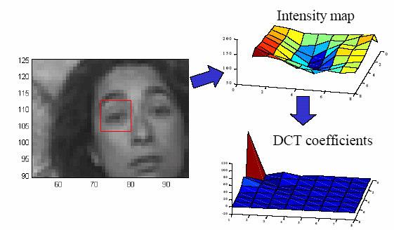 The Two-Dimensional DCT The one-dimensional DCT described above can be extended to apply to two-dimensional image arrays.