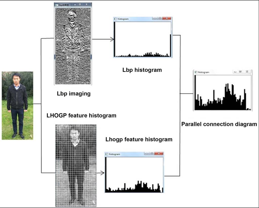 Figure 9. Fusion of IHOGP-lBP features. Figure 10. Pedestrian detection APP interface. the text, so that it can detect edestrians in the video.