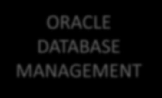 Management Real Consolidation Testing ORACLE