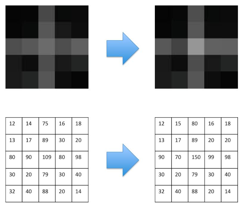 (a) (b) Figure 5: Intensity unification process on a pair of 2D synthetic images.