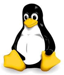 Why Linux?