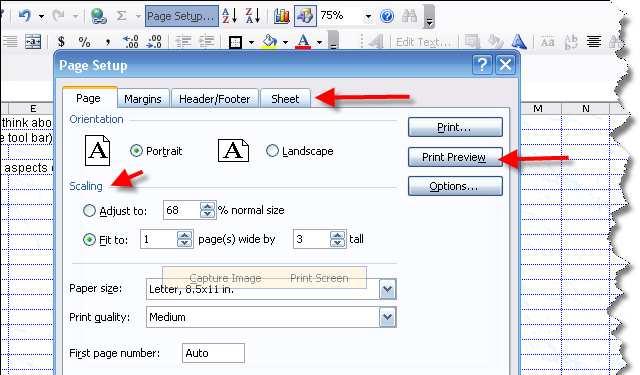 6) ADJUSTING PAGE BREAKS WITH DRAG AND DROP Things in your printout not paged the way you want? Click on "view/page break preview" You can drag and drop page breaks to organize your printout.