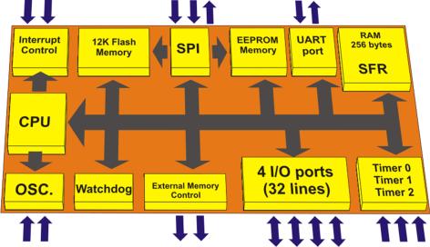 have on-chip memory. o Cannot drive the I/O devices. o Does not have peripheral functions such as parallel I/O ports, timers, A/D converter, and so on.