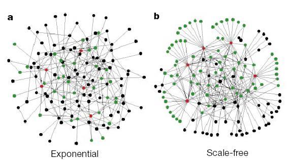 Resilience of Scale-Free Networks (3) Random failures vs.