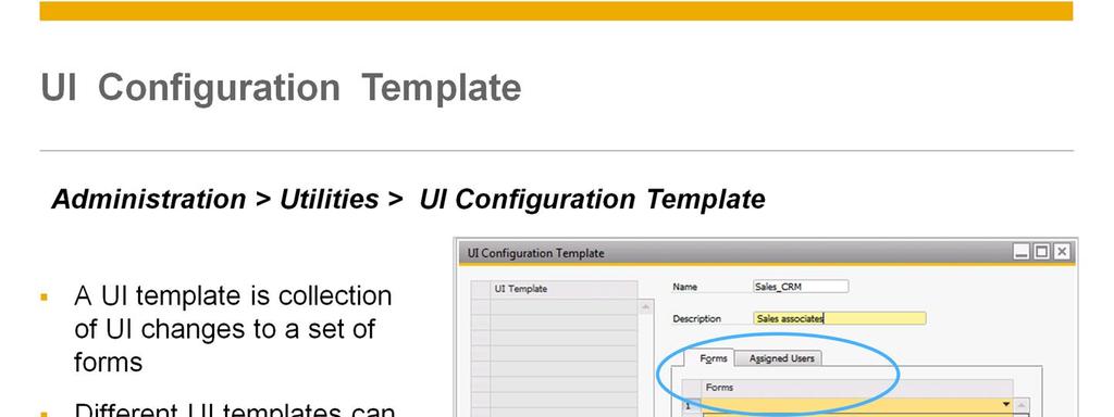 A UI template is a collection of UI changes to a set of forms.