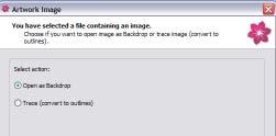 If you wish to capture a different image you can click on Capture New, which will be shown in the dialog box. 9.
