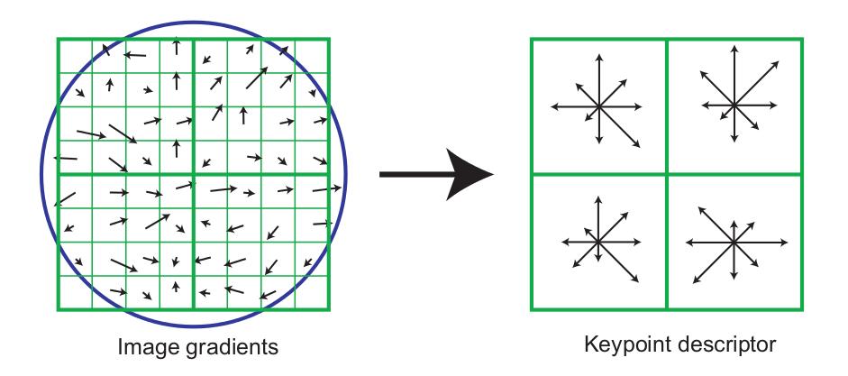 SIFT 5 Figure 7: A keypoint descriptor is created by first computing the gradient magnitude and orientation at each image sample point in a region around the keypoint location, as shown on the left.