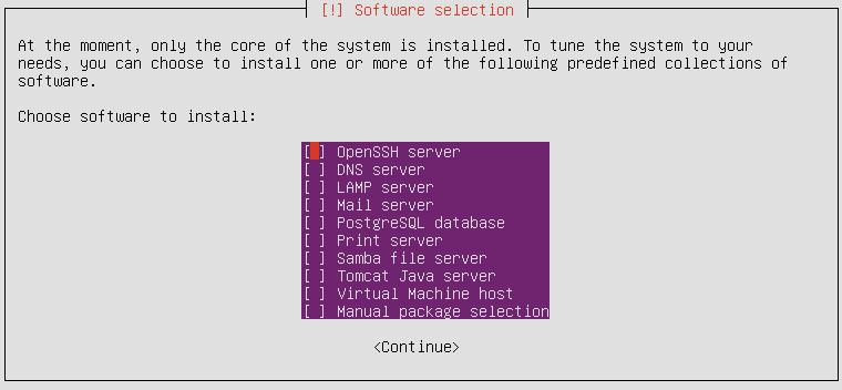 Select 'OpenSSH Server' then continue. Use the Space bar to select the option. The appliance will restart when installation is complete.