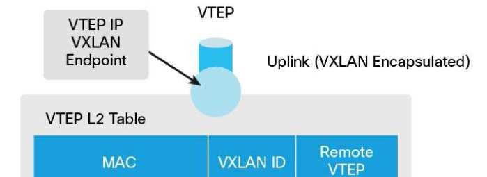 VXLAN: VTEP encapsulation & decapsulation A VTEP has two logical interfaces: an uplink and a downlink Uplink to encapsulate Downlink to decapsulate The VTEP can be located either on a physical switch