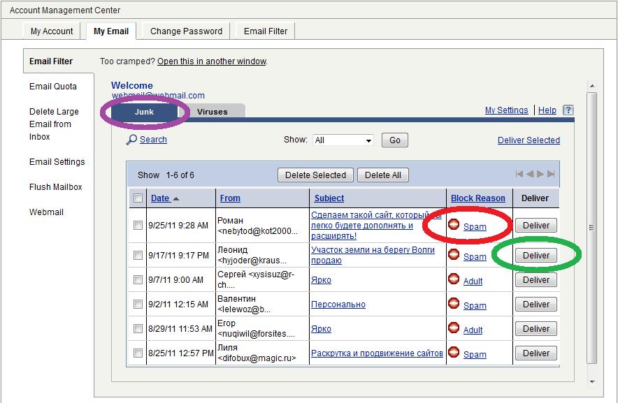 When you first visit the Email Filter, highlighted in purple you will see Junk, there is also a tab labeled Viruses.