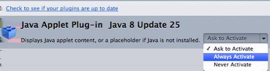1. Identify the [Java Applet] plugin. Ensure that [Always Activate] has been selected in the pull-down menu.