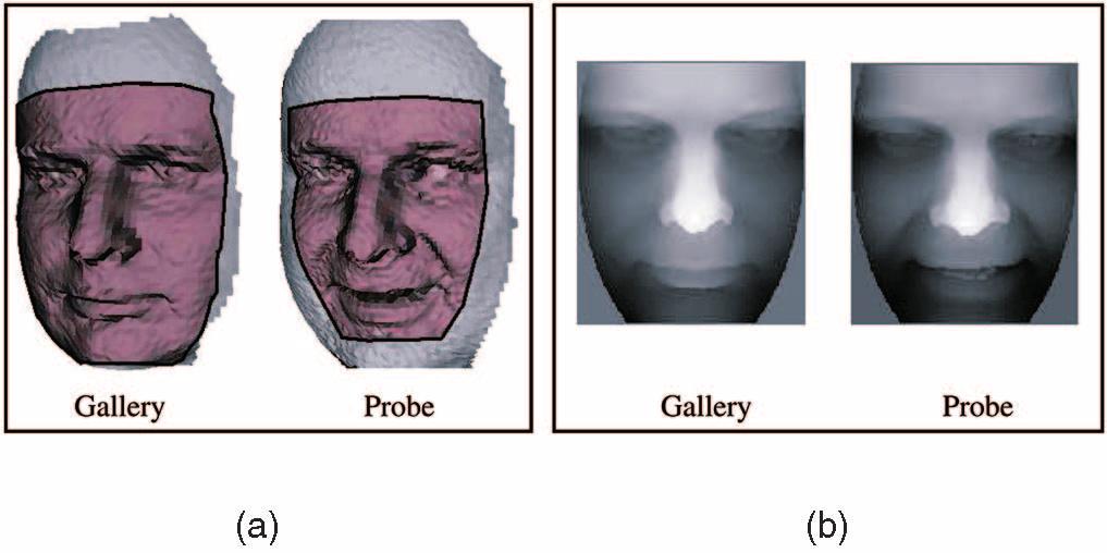 2 Curvature-Based Segmentation and Landmark Detection We compute surface curvature at each point, create a region segmentation based on curvature type, and then detect landmarks on the face.