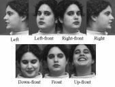 In this paper, we focus on recognizing lower face action units because the lips are much more deformable than eyes.