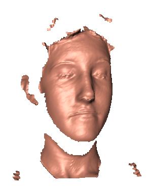 Expression Invariant 3D Face Recognition with a Morphable Model Brian Amberg brian.amberg@unibas.ch Reinhard Knothe reinhard.knothe@unibas.ch Thomas Vetter thomas.vetter@unibas.