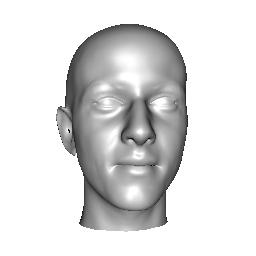 Face recognition using 3-D models: Pose and illumination. Proceedings of the IEEE, 94(11):1977 1999, 26. [13] F. B. ter Haar and R. C. Veltkamp.