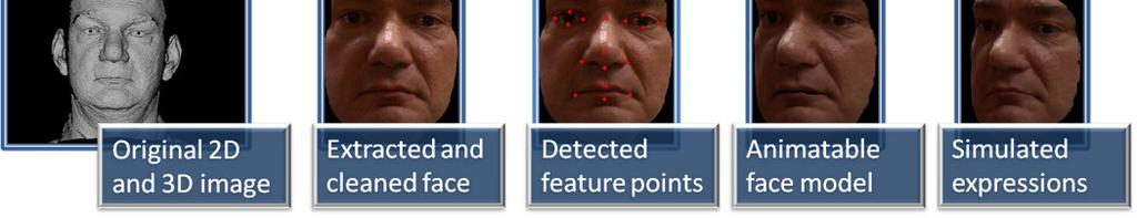 The generic model with manually labeled 71 MPEG-4 points is suitable to simulate facial actions and expressions via an animation engine that is in accordance with MPEG-4 Face and Body Animation (FBA)
