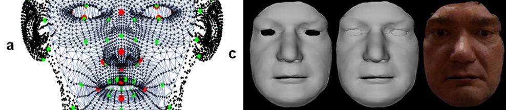 b) Generic face before the warping procedure and after anisotropic scaling and coarse warping (using the 17 point pairs only).