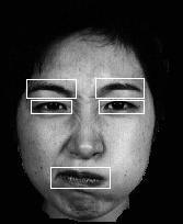 The position of a minimum in Y-projection along with the shape of corresponding X-projection is used to etract of facial feature.
