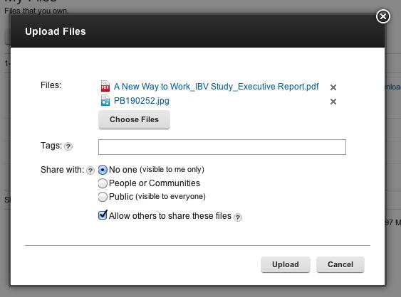 set of tags and visibility options that will apply to all uploaded files (see figure 28). Figure 28.