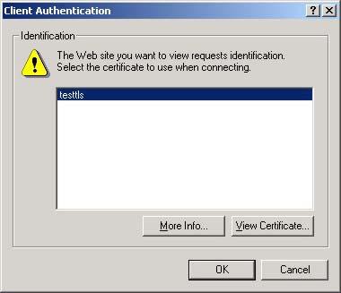 Chapter 11 System 2 When Authenticate Client Certificates is selected on the NWA, the following screen asks you to select a personal certificate to send to the NWA.