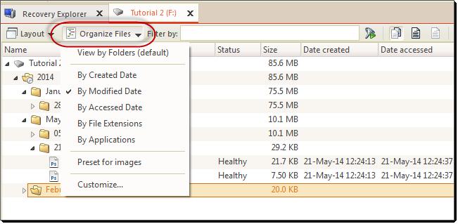 Advanced tools 119 Figure 64: File Organizer menu Files in presented view can be organized by applying grouping and renaming rule.