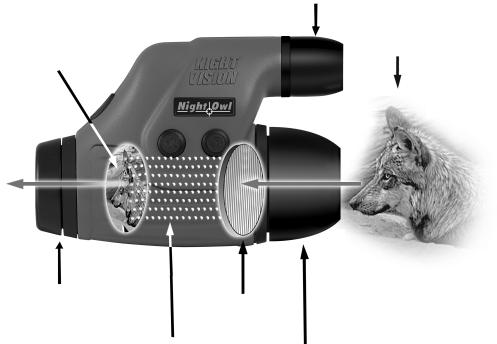 How Night Vision Works Light coming into the device from the direction of the object is gathered by the objective lens and focused onto the Image Intensifier Tube.