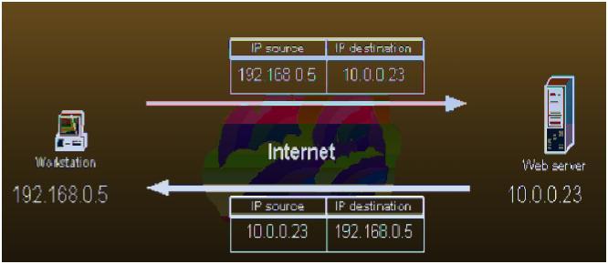 a valid source IP address requesting web pages and the web server executing the requests.