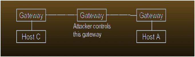 This can also be done combined with IP source routing option. IP source routing is used to specify the route in the delivery of a packet, which is independent of the normal delivery mechanisms.