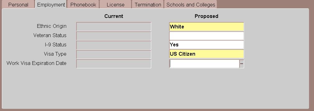 b. If the volunteer is considered a nonresident alien, select the appropriate Visa Type from the LOV and click OK.