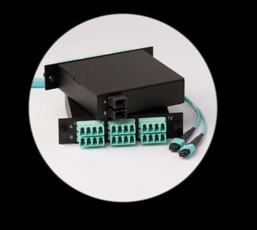 10G and Beyond Fiber Fiber assemblies Future proof your data center with OM3 and OM4