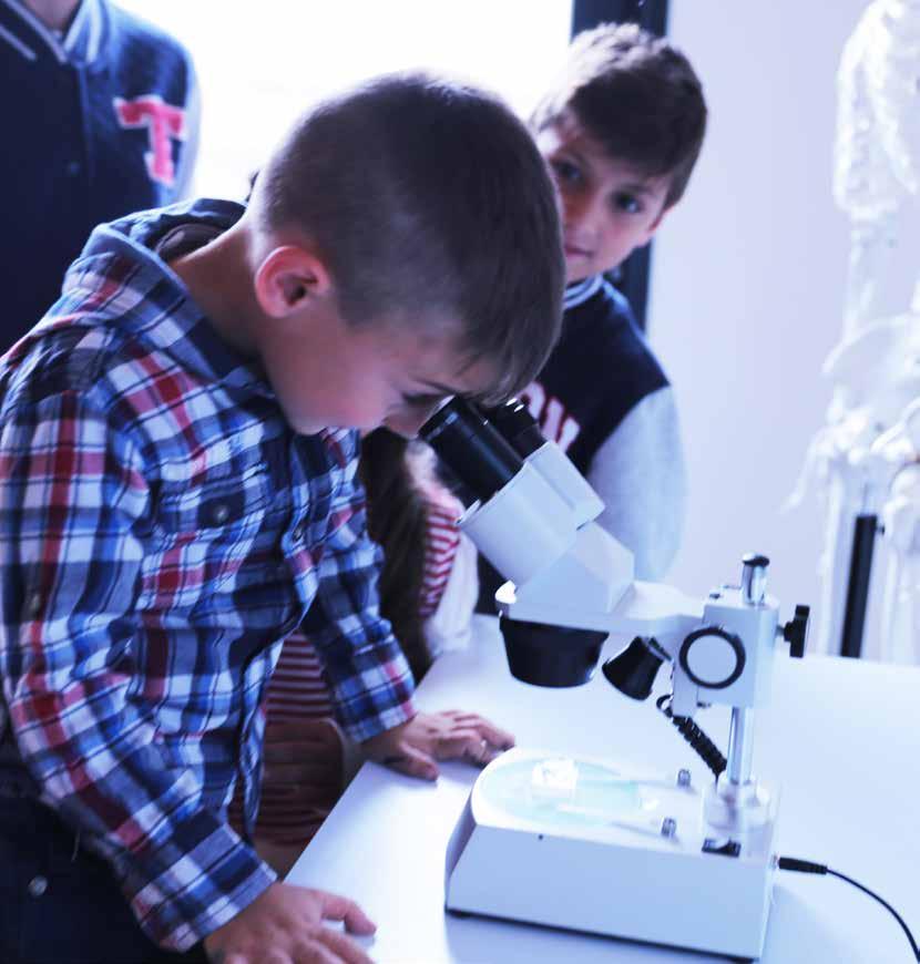 A Range Of Quality Students Microscopes Designed for novice USERs» Extremely reliable microscopes» Particularly recommended for primary school» Ideal for education,