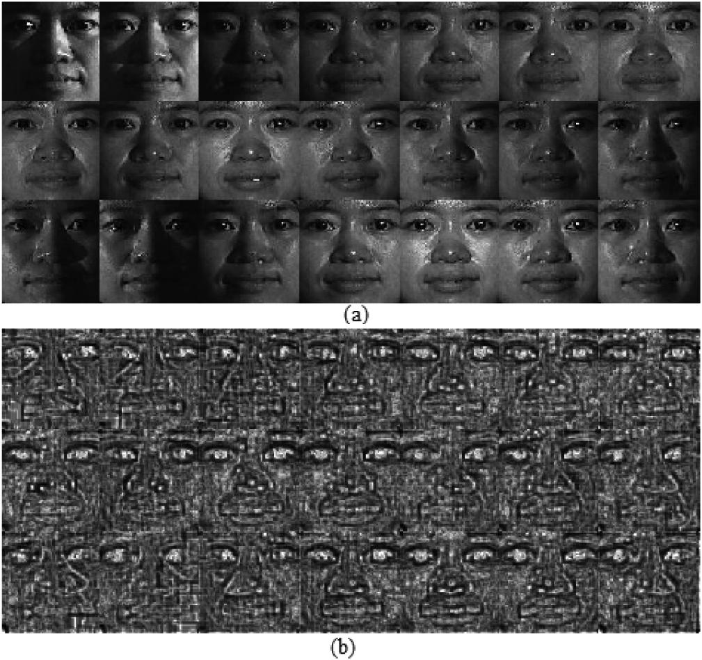 the other preprocessed images 1459 Fig 4 Illustration of sample images and their LFD images (a) 21 samples from CMU-PIE (b) Corresponding LFD images Algorithm 1 The algorithmic view of the proposed