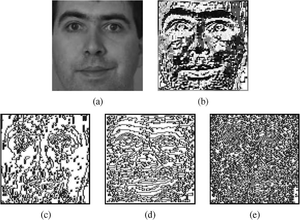 538 IEEE TRANSACTIONS ON IMAGE PROCESSING, VOL. 19, NO. 2, FEBRUARY 2010 Fig. 6. Visualization of LBP and LDP (in 0 direction) representations. (a) Original face image. (b) LBP.