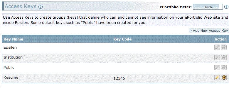 You may also add new Access Keys to allow certain groups of people access to information. Click on Add New Access Key.