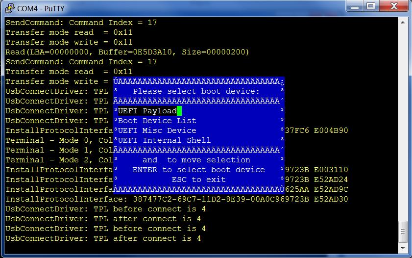 6. The serial console displays a boot device selection box (below). Select UEFI Internal Shell. You will see a display similar to this: 7.