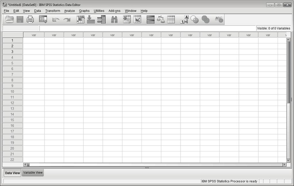 Data entry in SPSS 27 This is the Data View of the Data Editor window. Note that the Data View tab is highlighted. This tells you that you are looking at the Data View.