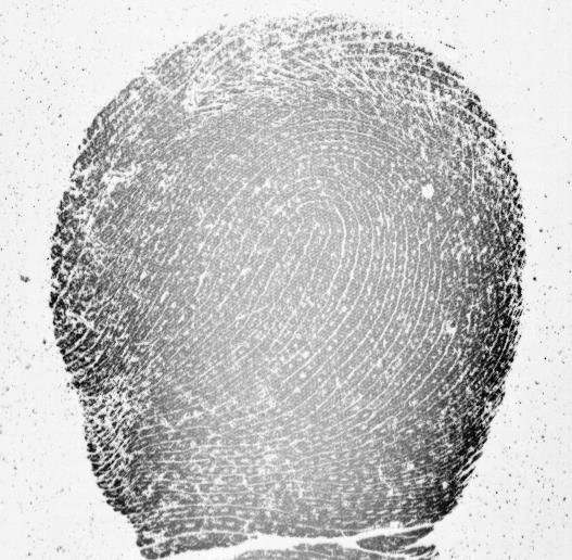 Fingerprints of Newborns