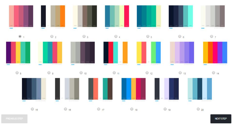 10 3.1.2 Colour pallet Third step of the survey maps the client s visual needs by choosing a colour pallet for their website.
