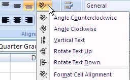 Alignment Formatting You can format the alignment of the cell contents.