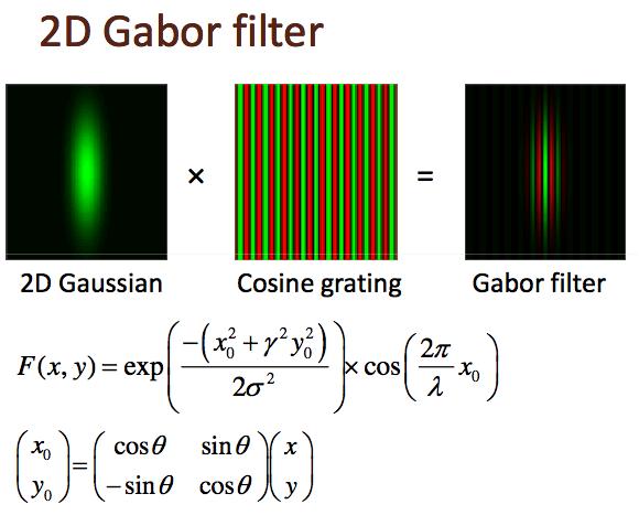 Neuro-Inspired Models: The Hmax S1 layer using Gabor