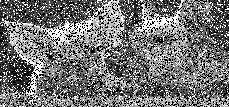 Common Types of Noise original image Impulse noise: random occurrences of white pixels Salt and pepper noise: