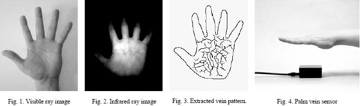 absorbs light having a wavelength of about 7.6 x 10-4 mm within the near-infrared area [2]. When the infrared ray image is captured, unlike the image seen in Fig.
