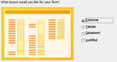 The last step in the wizard asks you to specify a name for the form.