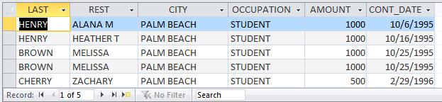 Notice that student and palm beach appear on the same line, which will show any record in which the donor s occupation is student and the donor s city is Palm Beach.