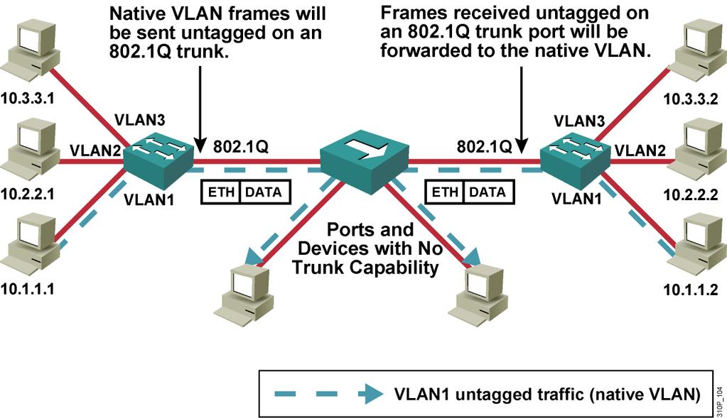 802.1Q Native VLAN Native VLAN frames are carried over the trunk link