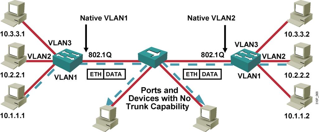 Issues with 802.1Q Native VLAN Native VLAN frames are carried over the trunk link untagged.