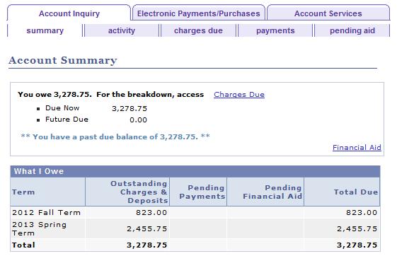 4. On the Account Inquiry tab summary sub-tab, the Account Summary page displays outstanding charges and deposits, as well as, pending financial aid (if any) and Total Due.