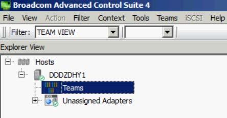 6. To configure the NIC for LAN traffic, select TEAM VIEW from the Filter drop down box (Figure