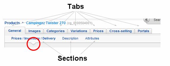 Basic principles Help Figure 2: tabs and sections The arrow shows the selected section. Help The application includes a multi-level Help system.